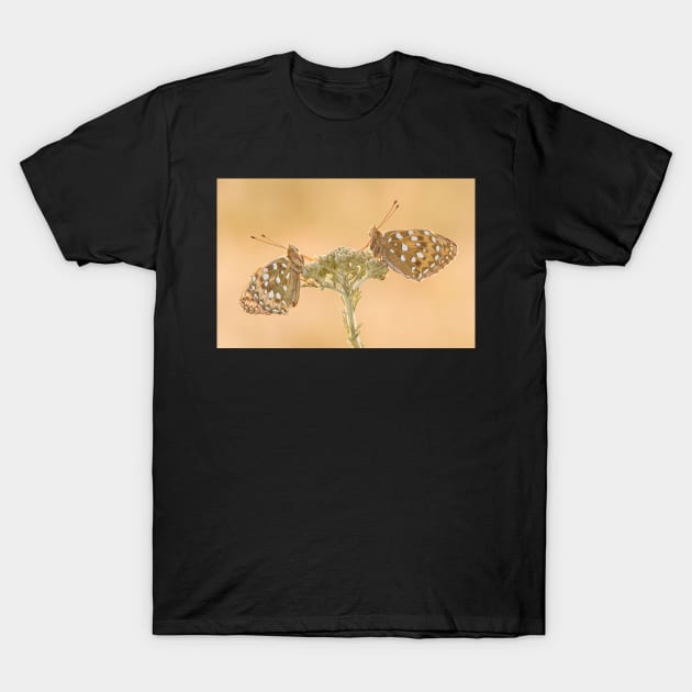 Two Dark Green Fritillaries on a Yarrow Plant T-Shirt by TonyNorth